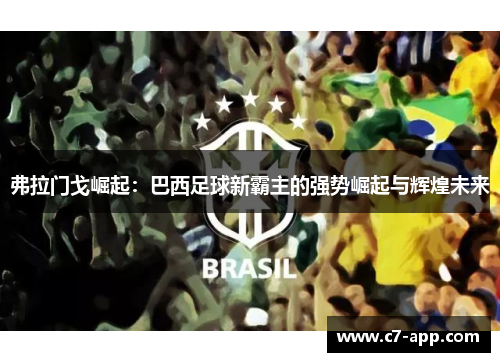 弗拉门戈崛起：巴西足球新霸主的强势崛起与辉煌未来