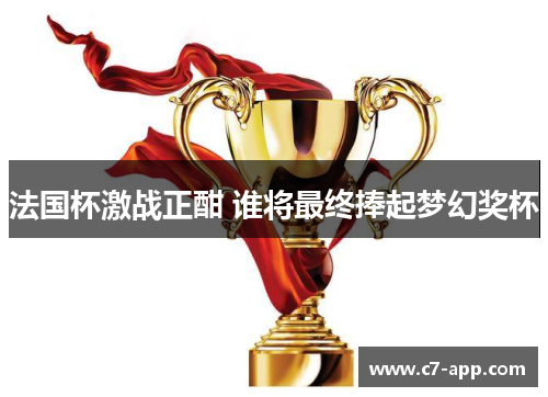 法国杯激战正酣 谁将最终捧起梦幻奖杯